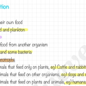 Leaving Cert Biology Notes: Human Nutrition +Homeostasis (10-Page Digital Download)