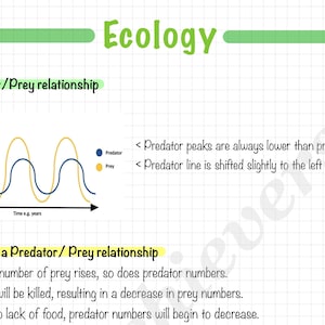 Leaving Cert Biology Notes: Ecology + Higher Level Ecology (20-Page Digital Download)