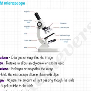 Leaving Cert Biology Notes: celstructuur + celdiversiteit (digitale download van 10 pagina&#39;s)
