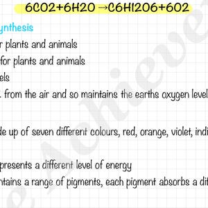 Leaving Cert Biology Notes: Photosynthesis + Respiration (11-Page Digital Download)