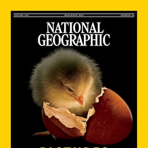 Puede incluir: Portada de la revista National Geographic con un pollito saliendo de un huevo roto. El fondo es negro con el texto "PICTURES of the YEAR" en amarillo. La portada tiene un borde amarillo. Diciembre de 2025.