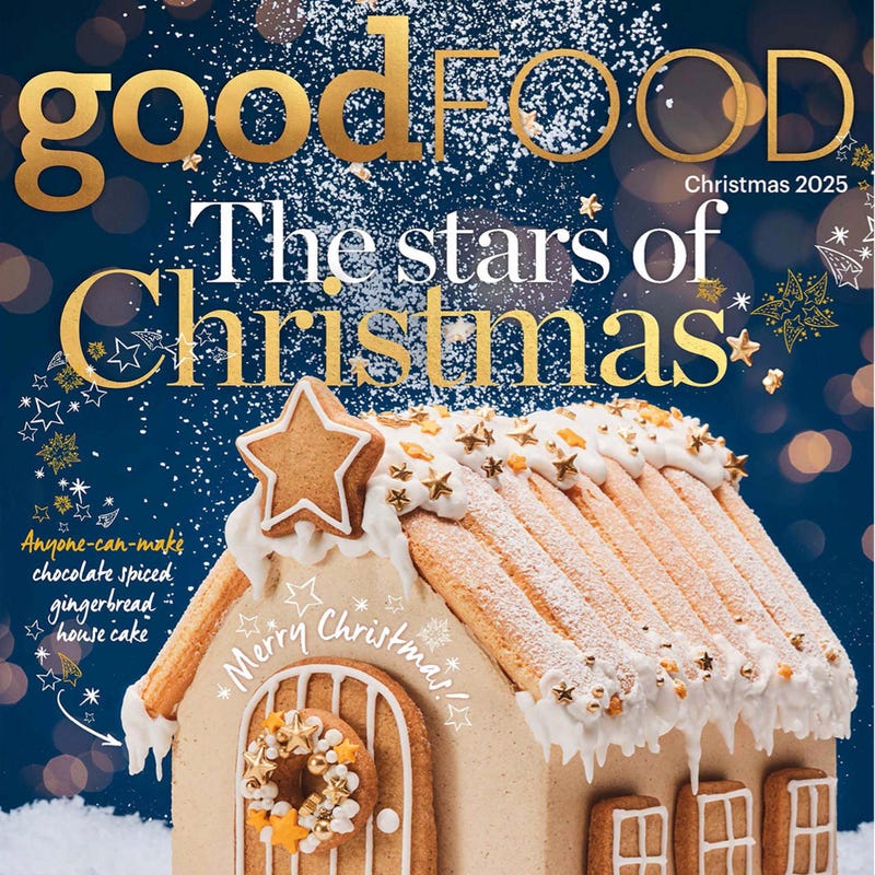 Good 2025 christmas presents