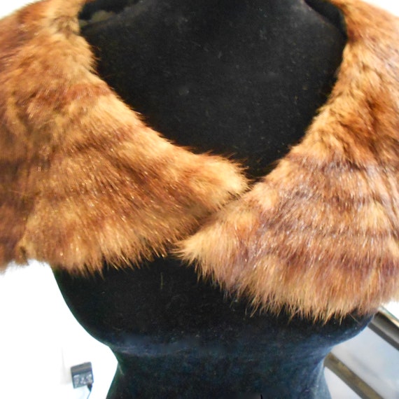 Vintage Mink Collar - image 1