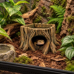 May include: A brown, textured resin reptile hide shaped like a hollow tree stump with a wide opening at the base. A spotted leopard gecko is visible inside the hollow cavity. The structure features realistic bark-like details and a flat top surface.