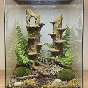 May include: A vertical glass terrarium featuring two brown resin tree trunk structures with multiple platforms, green ferns, two round moss balls, air plants, small river stones, and a piece of driftwood set in dark soil with a black frame.
