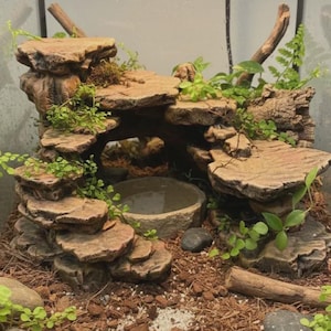 May include: A terrarium habitat featuring a multi-level rock formation with a central cave and a built-in water basin. The structure is adorned with green foliage, moss, and small branches, set upon a substrate of wood chips and soil.