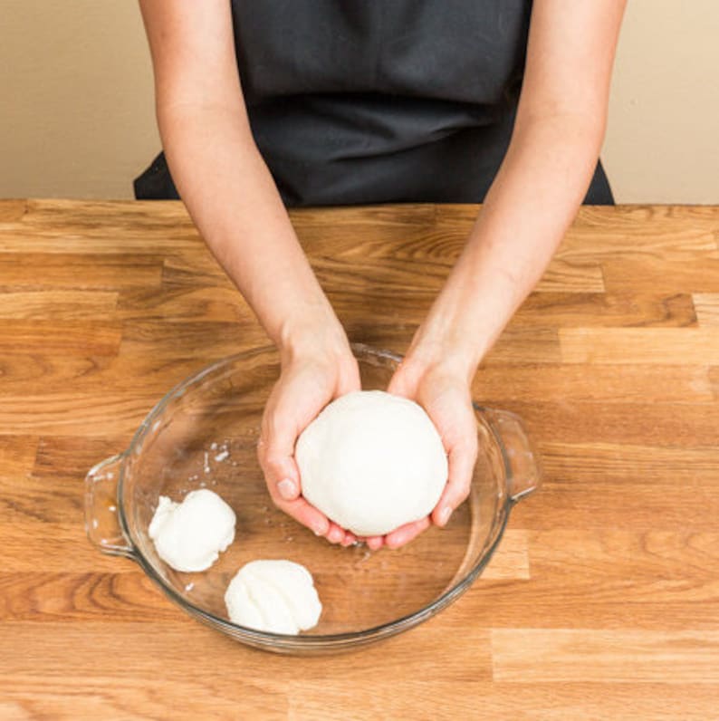 Regalo per gli amanti del cibo italiano, kit per la produzione di formaggio fai da te, preparazione di mozzarella e ricotta, kit per mozzarella fai da te, divertente esperienza di cucina, antipasto immagine 8