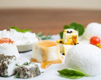 Travel Lovers Cheese Making Kit | Beginner DIY Global Cheese Set | Make 8 Fresh Cheeses at Home | Gourmet Gift for Foodies & Weekend Cooks