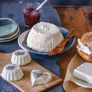 Buch zur Käseherstellung 30 milchfreie 1-Stunde-Käserezepte, veganer Geschenkkorb für pflanzliches Kochbuch DIY Vegan Charcuterie Board Bild 4