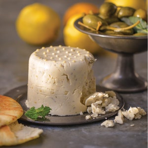 Buch zur Käseherstellung 30 milchfreie 1-Stunde-Käserezepte, veganer Geschenkkorb für pflanzliches Kochbuch DIY Vegan Charcuterie Board Bild 6