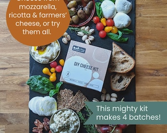 DIY Mozzarella Cheese Making Kit | Beginner Friendly, Foodie Gift