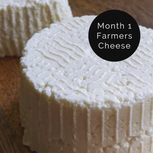 Deluxe Cheesemaking Kit: 8 DIY Cheeses for Beginners image 15