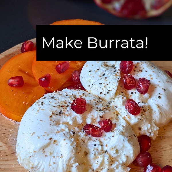 DIY Burrata Cheese Kit: Beginner Cheesemaking, Makes 8 Cheeses
