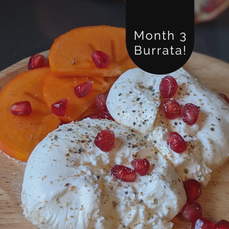 DIY Cheese Making Kit: Mozzarella, Ricotta, Farmers Cheese image 18