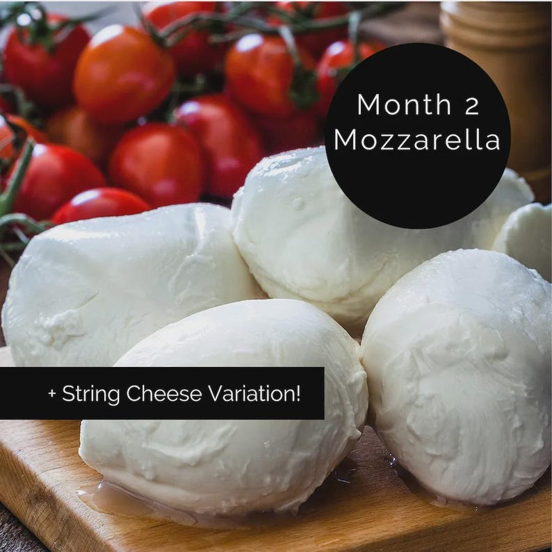 DIY Cheese Making Kit: Mozzarella, Ricotta, Farmers Cheese image 17