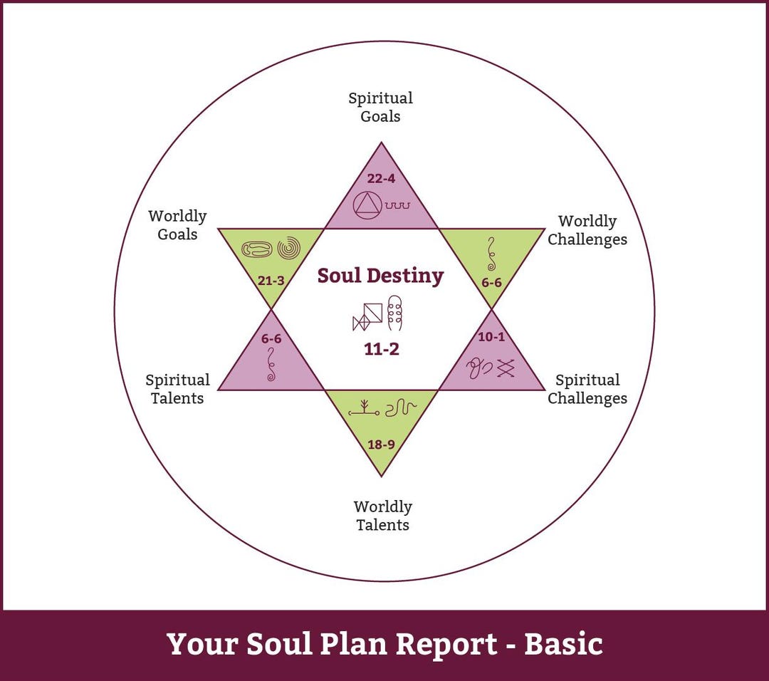 Soul Pages Examples Soul Plan Report - Basic - Etsy