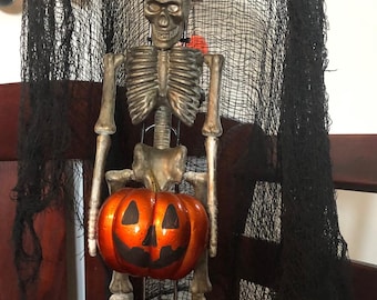 Skelly Light Up Skelett