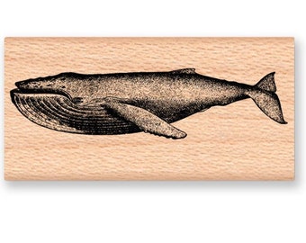 BALEEN WHALE Rubber Stamp~Ocean and Sea Nautical Theme~Vintage Illustration~Wood Mounted Rubber Stamp by Mountainside Crafts (32-02)