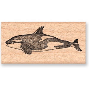 KILLER WHALE ORCA Rubber Stamp~Sea Ocean Animal~Nautical theme~Wood Mounted Rubber Stamp (29-20)