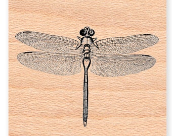 Dragonfly Rubber Stamp~Summer Time~Insect~Bug~Nature~wood mounted rubber stamp by Mountainside Crafts (17-19)