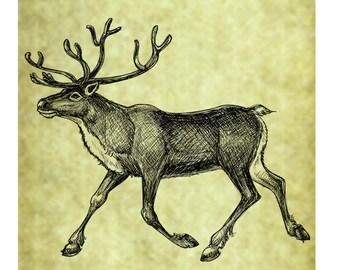 CARIBOU REINDEER Rubber Stamp~Large Unmounted Cling Stamp~Vintage Christmas Illustration~DIY Card Making~Arctic Tundra Wildlife (56-01)