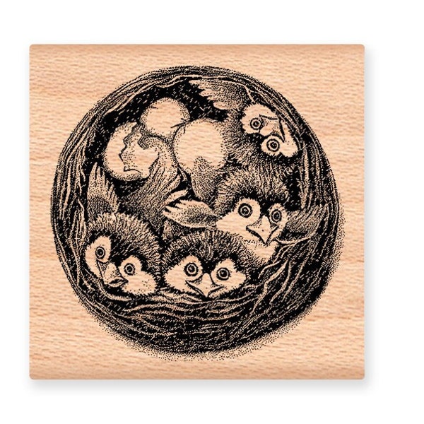 BIRD NEST STAMP Baby Birds nest nest of baby birds welcome new baby hatched babies spring easter baby robins rubber stamp(lg 42-06)(sm30-17)