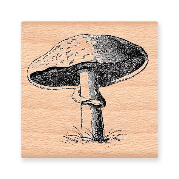 MUSHROOM STAMP Forest Toadstool Woodland Wild Mushroom Illustration Drawing Scrapbooking Mountainside Crafts Wood Mounted Rubber  (27-19)