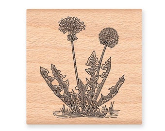 DANDELION Rubber Stamp~Dandelion Weeds~Wild Flower~Greens~Spring~Summer~Wood Mounted Stamp by Mountainside Crafts (27-13)