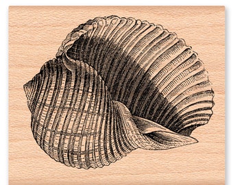 SEA SHELL Rubber Stamp~Large Shell~Ocean or Nautical Decor or Theme~Summer on the Beach~Wood Mounted Stamp~Mountainside Crafts (48-28)