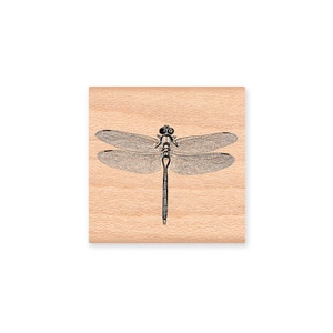 Dragonfly Rubber Stamp~Summer Time~Insect~Bug~Nature~wood mounted rubber stamp by Mountainside Crafts (17-19)