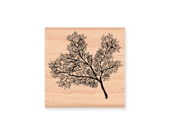 SEA FAN CORAL-Ocean coral-fan coral- wood mounted rubber stamp- (32-20)
