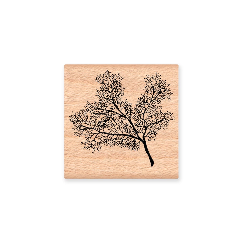 May include: A wooden stamp featuring a black tree branch design. The stamp has a light brown wooden base with a detailed, stylized tree branch illustration. The design is suitable for crafting and adding a natural element to projects.