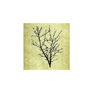 May include: A black silhouette of a bare tree branch against a yellow, textured background.