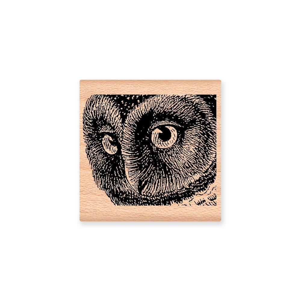 OWL FACE Rubber Stamp~Owl Head Stamp~ Nature~Animal~Halloween Party Decor~ Wood Mounted Stamp~Mounta