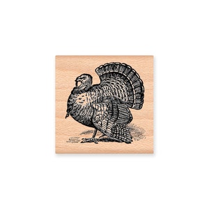TOM TURKEY-Wood Mounted Rubber Stamp (MCRS 27-27)