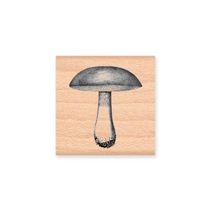 TAMPON EN CAOUTCHOUC CHAMPIGNON ~ Champignon vénéneux ~ Campagne ~ Bois sauvages de la forêt ~ Champignons ~ Fournitures pour travaux manuels et fabrication de cartes ~ Loisirs créatifs à flanc de montagne (34-29)