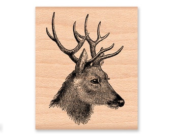 DEER RUBBER STAMP~ Buck Stag Head~Sketch~Illustration~Wood mounted rubber stamp from Mountainside Crafts (36-03 )