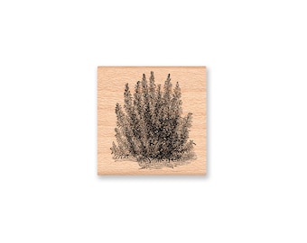 ROSEMARY-Wood Mounted Rubber Stamp (MCRS 25-30)