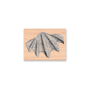 CLAM SHELL Rubber Stamp~Sea Shell Stamp~Nautical theme~Large Stamp~Wood Mounted Rubber Stamp by Mountainside Crafts (45-15)