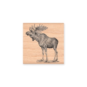 MOOSE STAMP~MOOSE bull with antlers~buck~illustration~sketch~rustic~vintage~lodge decor~cabin~lake~woods~wood mounted rubber stamp (19-23)
