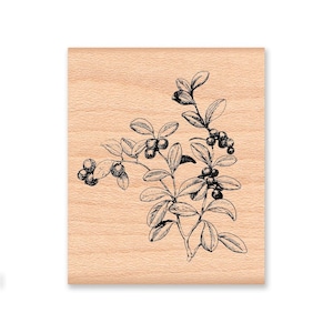 May include: A black and white line drawing of a branch of lingonberry with leaves and berries.