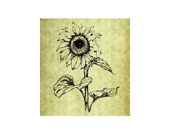 SUNFLOWER Rubber Stamp~Large Cling Stamp~Summer Flower~Sunshine~Pattern~Thanksgiving~Fall~Autumn~Mountainside Crafts (54-13)