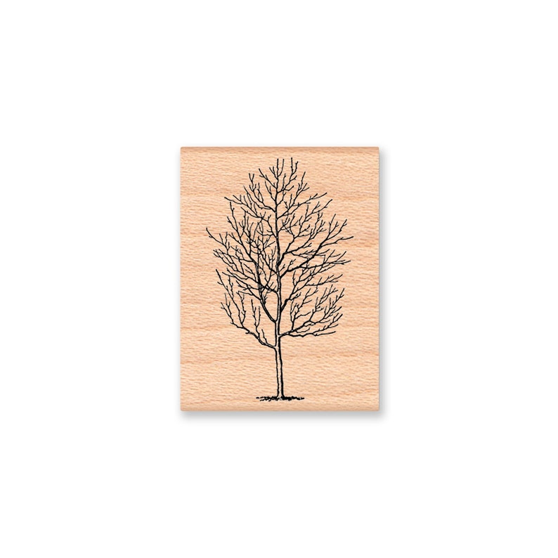 TREE Rubber StampFall or Winter Tree with Bare BranchesLandscapeChristmas Card MakingWood mounted stamp by Mountainside Crafts 20-04 image 2