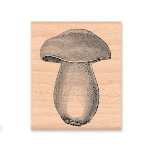 TAMPON EN CAOUTCHOUC CHAMPIGNON~Petit ou grand~Champignons vénéneux~Campagne~Forêts sauvages~Champignons~Fournitures pour cartes de vœux~Artisanat à flanc de montagne (36-06L)(36-07S)