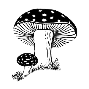 Tampon autocollant Champignons ~ Champignon vénéneux ~ Champignon sauvage ~ Pois ~ Aragic mouche moucheté ~ Gnome ou maison de fée ~ Tampon autocollant non monté (50-21)