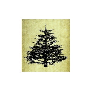 Tampon en caoutchouc pin ~ tampon adhésif ~ forêt rustique à feuilles persistantes illustration de la nature montagne Noël épicéa grands arbres randonnée camping (54-15)