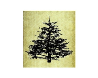 PINE TREE Rubber Stamp~Cling Stamp~Rustic Forest Evergreen Nature Illustration Mountain Christmas Spruce Large Trees Hiking Camping (54-15)