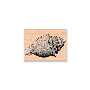 SEA SHELL SET Rubber Stamp~Set of Two Shells~Ocean~Sea Life~Shore~ shell~ wood mounted rubber stamp (36-9/10)