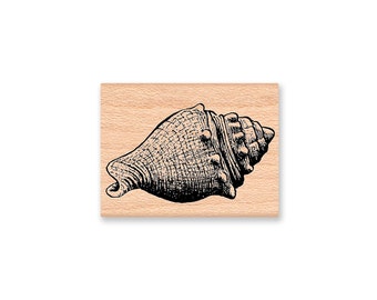 SEA SHELL SET Rubber Stamp~Set of Two Shells~Ocean~Sea Life~Shore~ shell~ wood mounted rubber stamp (36-9/10)