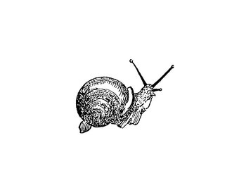 SNAIL Rubber Stamp~Two Sizes Available~Unmounted Cling Stamp (47-04 lg)(47-05 sm)